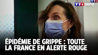 Épidémie de grippe : toute la France en alerte rouge｜TF1 INFO