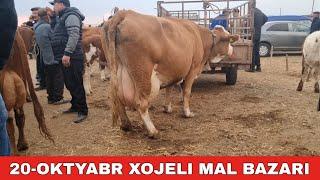 20-ОКТЯБРЬ/ХОЖЕЛИ МАЛ БАЗАРЫ/СКОТНЫЙ РЫНОК/BUQALAR/BIG BULLS IN THE WORLD/BIG COW