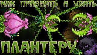 [Terraria Гайд] КАК ПРИЗВАТЬ И УБИТЬ ПЛАНТЕРУ (Plantera)