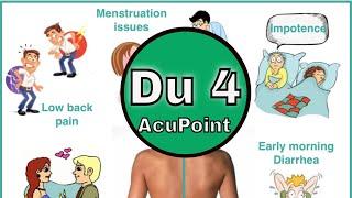 Du 4 Acupuncture Point (GV 4 functions & Location)