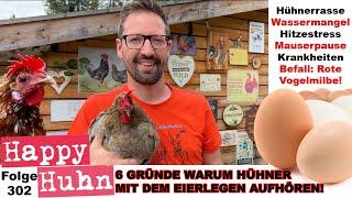 6 Ursachen wenn Hühner keine Eier mehr legen! + Einblicke in die Bienenzucht/Abfeger HAPPY HUHN E302