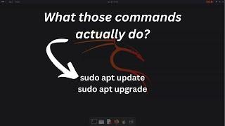 What actually are command sudo apt update and sudo apt upgrade in Linux?