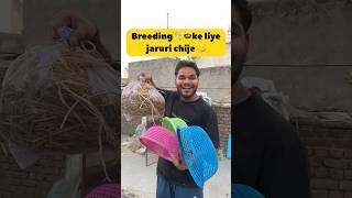 Breeding️🪺 ke liye jaruri chije  #minivlog #breedingpair #kabootarlovers #pigeon #fancykabootar