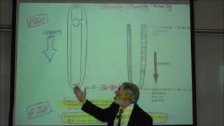 BARORECEPTOR REFLEX, GRAVITY & POSTURAL HYPOTENSION by Professor Fink