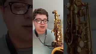 Better Sax alto worth the money?