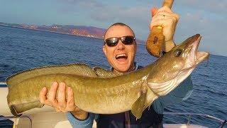 Fishing with bait in Lerøyosen and Austevoll, Norway