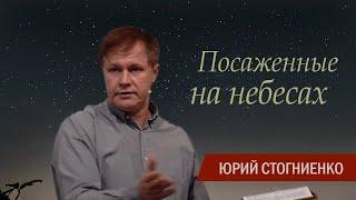 Посаженные на небесах | Христианская вера | Тысячелетнее Царство Христа на Земле