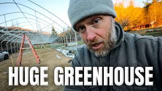 Building a HUGE greenhouse after Hurricane Desctruction