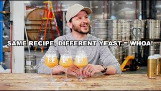 Discussing Tree House Brewery's yeast experimentation!