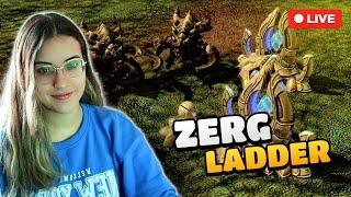 Zerg Ladder in the night  | Starcraft 2 en español