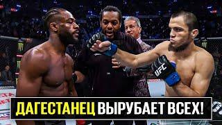 СУПЕРБОЙ За ПОЯС UFC! Умар Нурмагомедов vs Алджамейн Стерлинг. Разбор Боя UFC. НОВОСТИ ММА