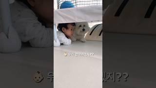 꼬미야 우리 찾아봐~~ #22개월 #아들육아 #애개육아