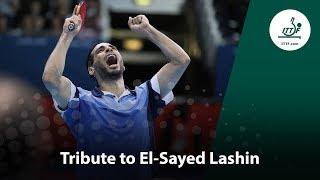 Tribute to El-Sayed Lashin