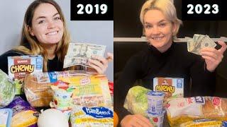 I DID THE SAME EXACT GROCERY HAUL 4 YEARS LATER (EXACT PRICE DIFFERENCE PER ITEM)