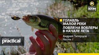 Голавль малой реки. Ловля на воблеры в начале лета.Андрей Питерцов.Anglers Practical