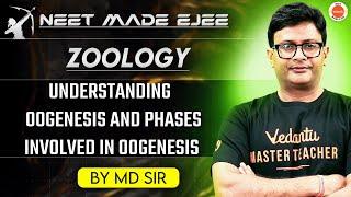 NEET Zoology 2025 |  Oogenesis and Phases Involved in Oogenesis | MD Sir