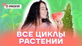 Все циклы растений | Биология ЕГЭ 2022 | Умскул