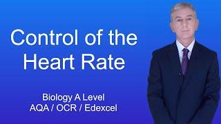 A Level Biology Revision (Year 13) "Control of the Heart Rate"