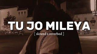 TU JO MILEYA MILEYA AY [ slowed x reverbed ]