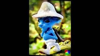 we live we love we lie realistic smurf cat meme #smurf #smurfcat #realistic #meme #tiktok #shorts