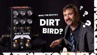 Dirt Bird – Technical Demo