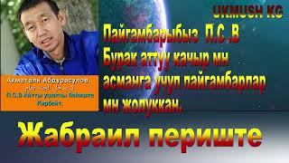 Пайгамбарыбыз Бурак аттуу ат м-н асманга учкан.