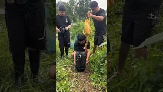 Mastering the Art of Fishing - Pro Tips & Big Catches!"#shorts #fishing #youtubeshorts #art