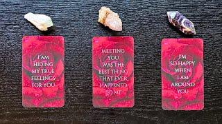 Love Notes From Your Person (MESSAGE CARDS ONLY)️Pick-A-Card️