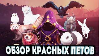 ОБЗОР КРАСНЫХ ПИТОМЦЕВ 7 УРОВНЯ l Чем они лучше Оранжевых?  Black Desert Mobile