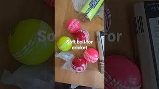 soft pvc cricket ball