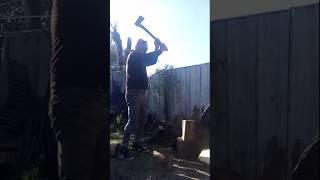 Splitting Rings #nz#aotearoa #māori #wood#logs#axe#winter