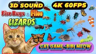 CAT GAMES BiBi TV | Ultimate Cat TV Compilation SPECIAL VOLUME #126 | 3 HOURS | Game On Screen