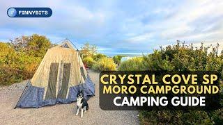 Camping at Moro Campground | Ultimate Beginner's Guide | Dog-Friendly Camping | FinnyBits