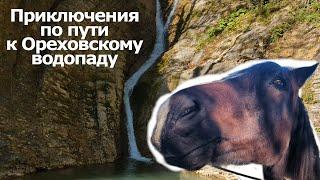 В СОЧИ: ПО ПУТИ НА ОРЕХОВСКИЙ ВОДОПАД УКУСИЛА ЛОШАДЬ 4К