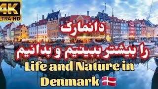 life and Nature in Denmark  , 4 seasons, UHD quality by denmarkphotographer for U