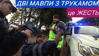 КАПЕЦЬ! ДВІ МАВПИ З ТРУКАМОМ в поліції ЛЬВОВА!