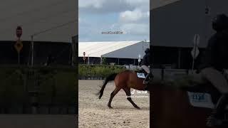 Practice counting strides!! @clara.equestrian