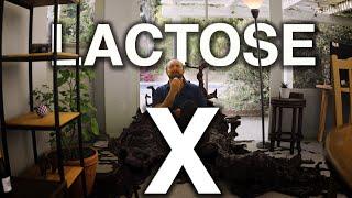 LACTOSE X -  DRAMA COMEDY SHORTFILM