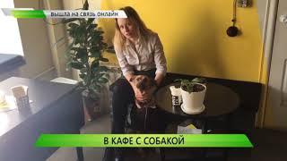 В кафе с собакой