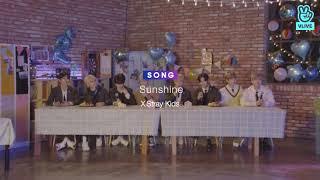 Stray Kids - Sunshine (Live ver.) Rooftop Live