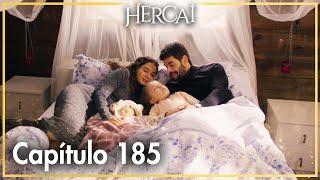 Hercai - Capítulo 185