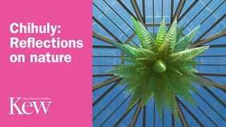 Chihuly: Reflections on nature