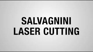 Salvagnini Laser Cutting |  Estes Design and Manufacturing