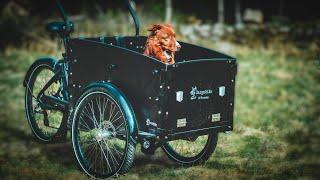 Cargo Bike of Sweden Dog Delight - First Impressions