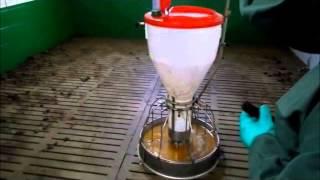 tankwashpl  Oferta sprzet do mycia- mycie obiektow inwentarskich, myjnie samochodowe,