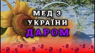 Цена меда в Украине и его себестоимость. Ответы на вопросы в комментариях