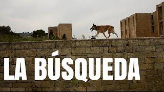 LA BÚSQUEDA | BIKECANINE