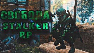  DAYZ STALKER RP  Я В СВОБОДЕ №1  STALKER RP СТРИМ 