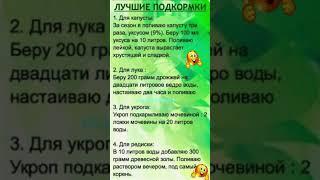 ПОЛЕЗНО ЗНАТЬ! Лучшие подкормки растений #shorts #советы #рецепты