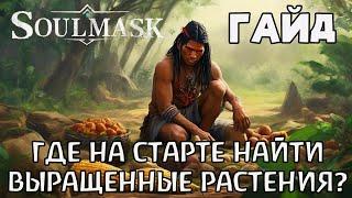 | SoulMask | Гайд | Где на старте найти выращенные культурные растения? |